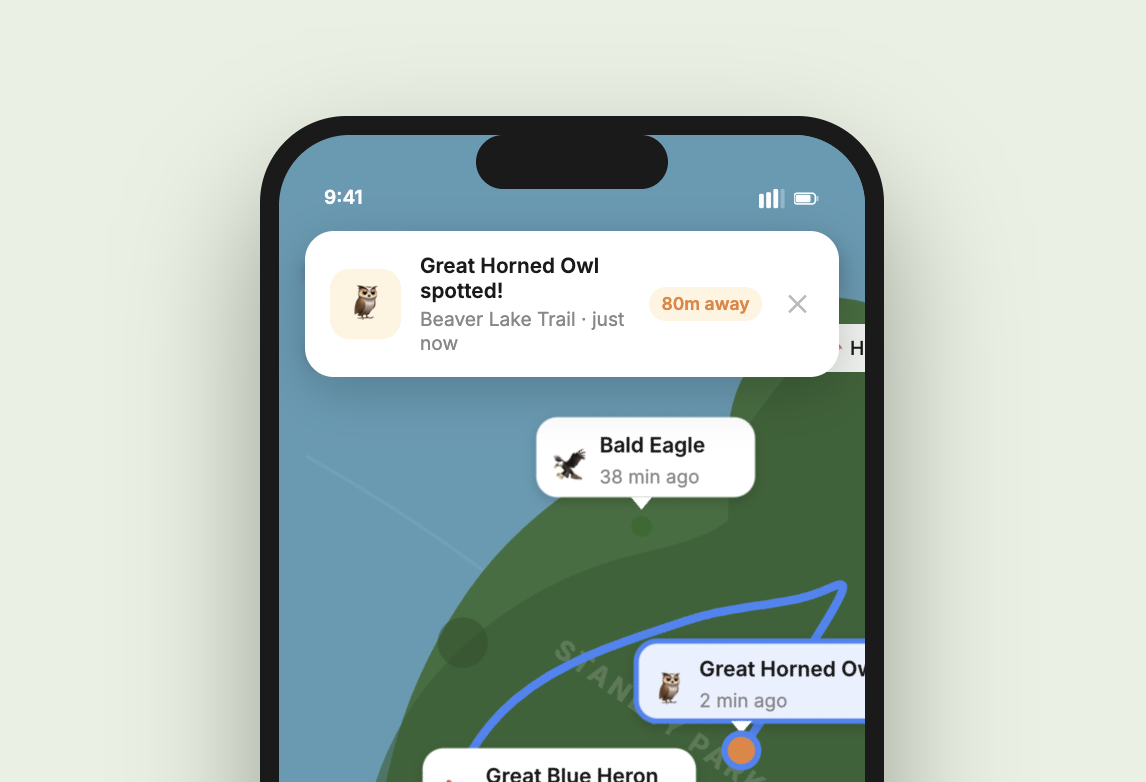Spotted notification